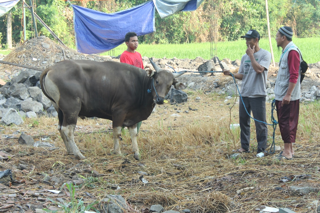 Idul Adha 2019, Qurban Bagi Sesama