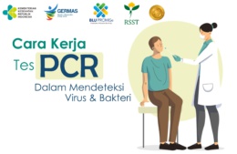 Cara Kerja Tes PCR Dalam Mendeteksi Virus dan Bakteri