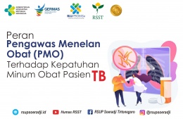 Peran Pengawas Menelan Obat (PMO) Terhadap Kepatuhan Minum Obat Pasien TB