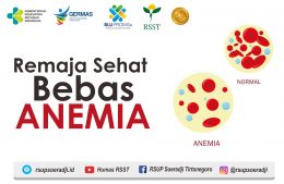 Remaja Sehat Bebas Anemia