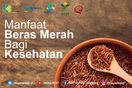 Manfaat Beras Merah Bagi Kesehatan