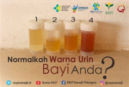 Normalkah Warna Urin Bayi Anda?