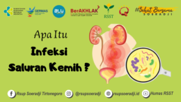 Apa Itu Infeksi Saluran Kemih ?
