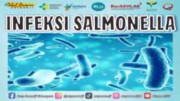 Infeksi Salmonella