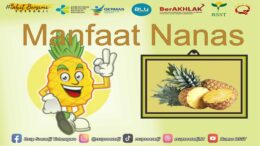 Manfaat Nanas