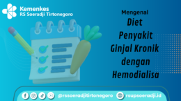 "Mengenal Diet Penyakit Ginjal Kronik dengan Hemodialisa"