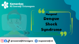 Mengenal Dengue Shock Syndrome